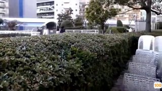 批发翡翠原石批发市场在哪里爽